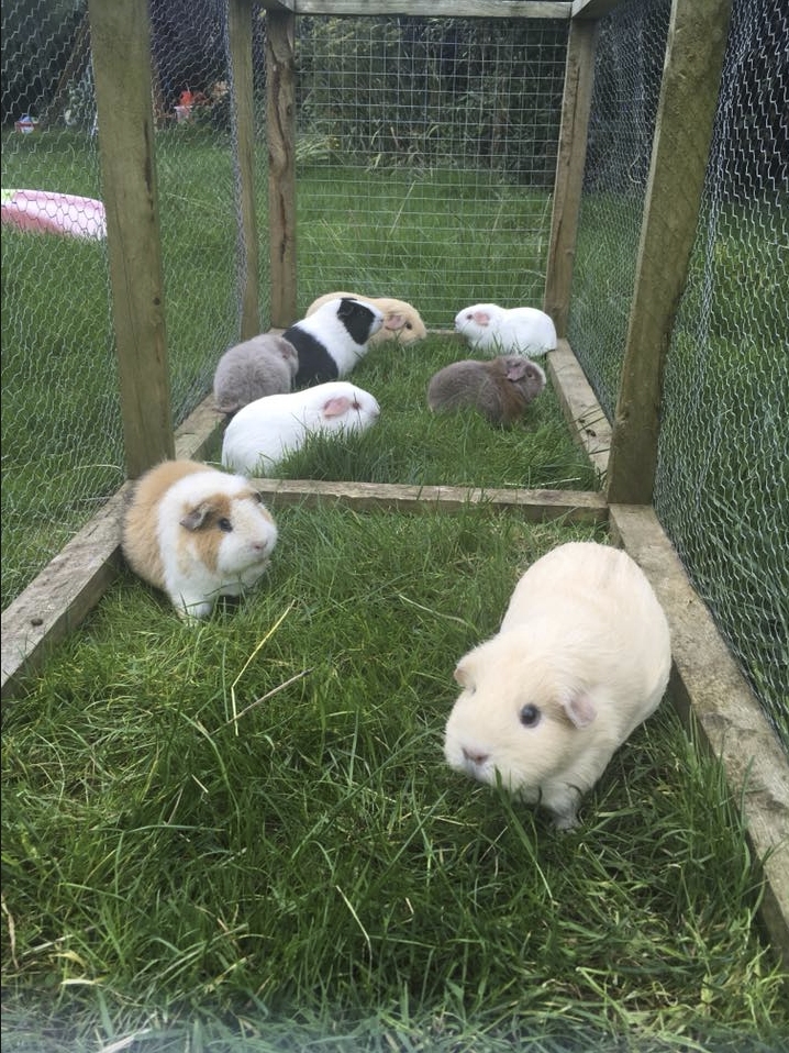 day outside on the grass