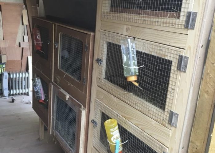 New and Hutches • Pig Housing • Cavies
