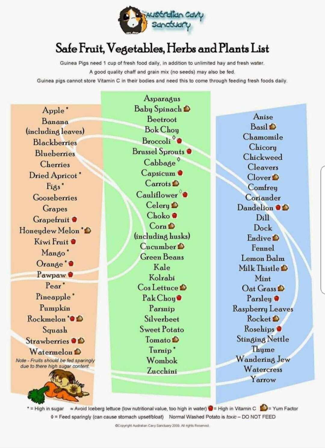 Guinea Pig FOOD List Printable PDF Pink And Blue BUNDLE Denmark 